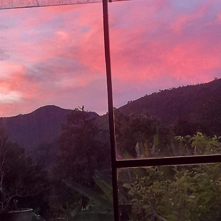 Petrópolis Casa De Vidro 아파트 외부 사진