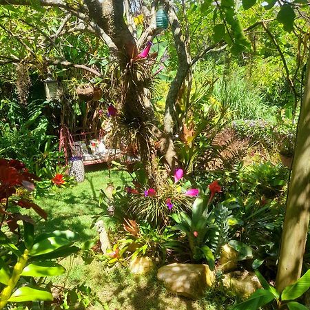 Petrópolis Casa De Vidro 아파트 외부 사진