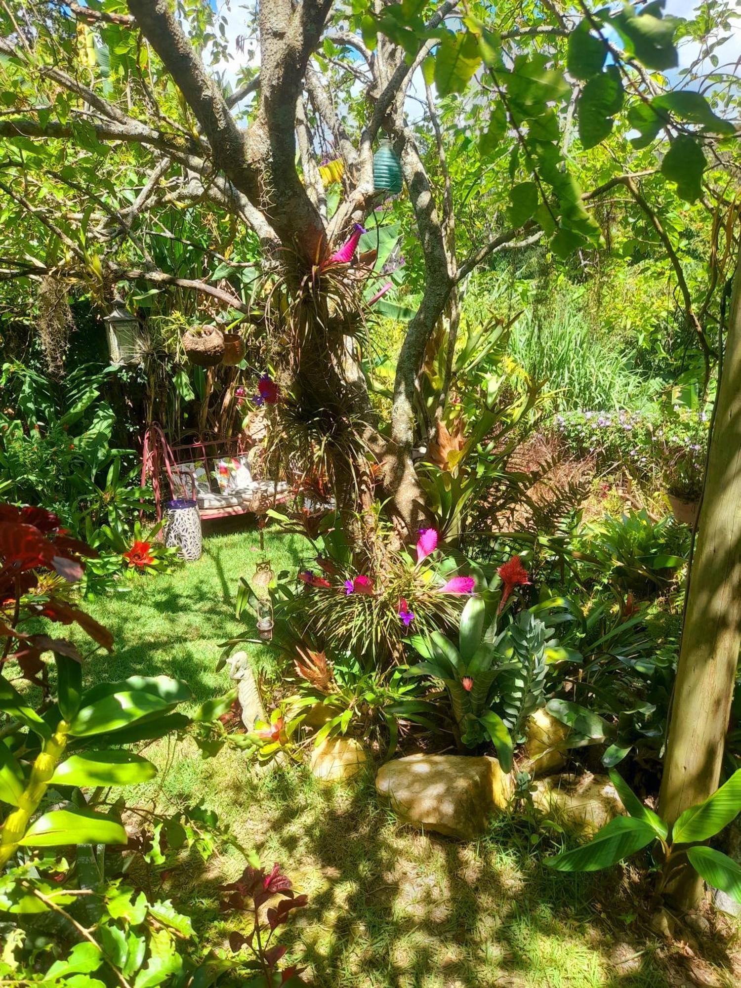 Petrópolis Casa De Vidro 아파트 외부 사진