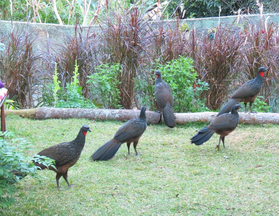 Petrópolis Casa De Vidro 아파트 외부 사진