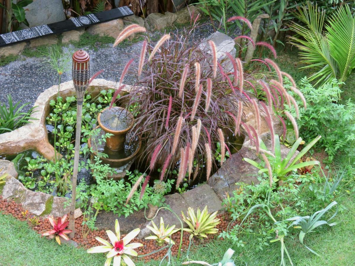 Petrópolis Casa De Vidro 아파트 외부 사진